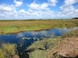 Un cuerpo de agua tranquilo con nenúfares, rodeado de campos verdes y un cielo despejado con nubes.