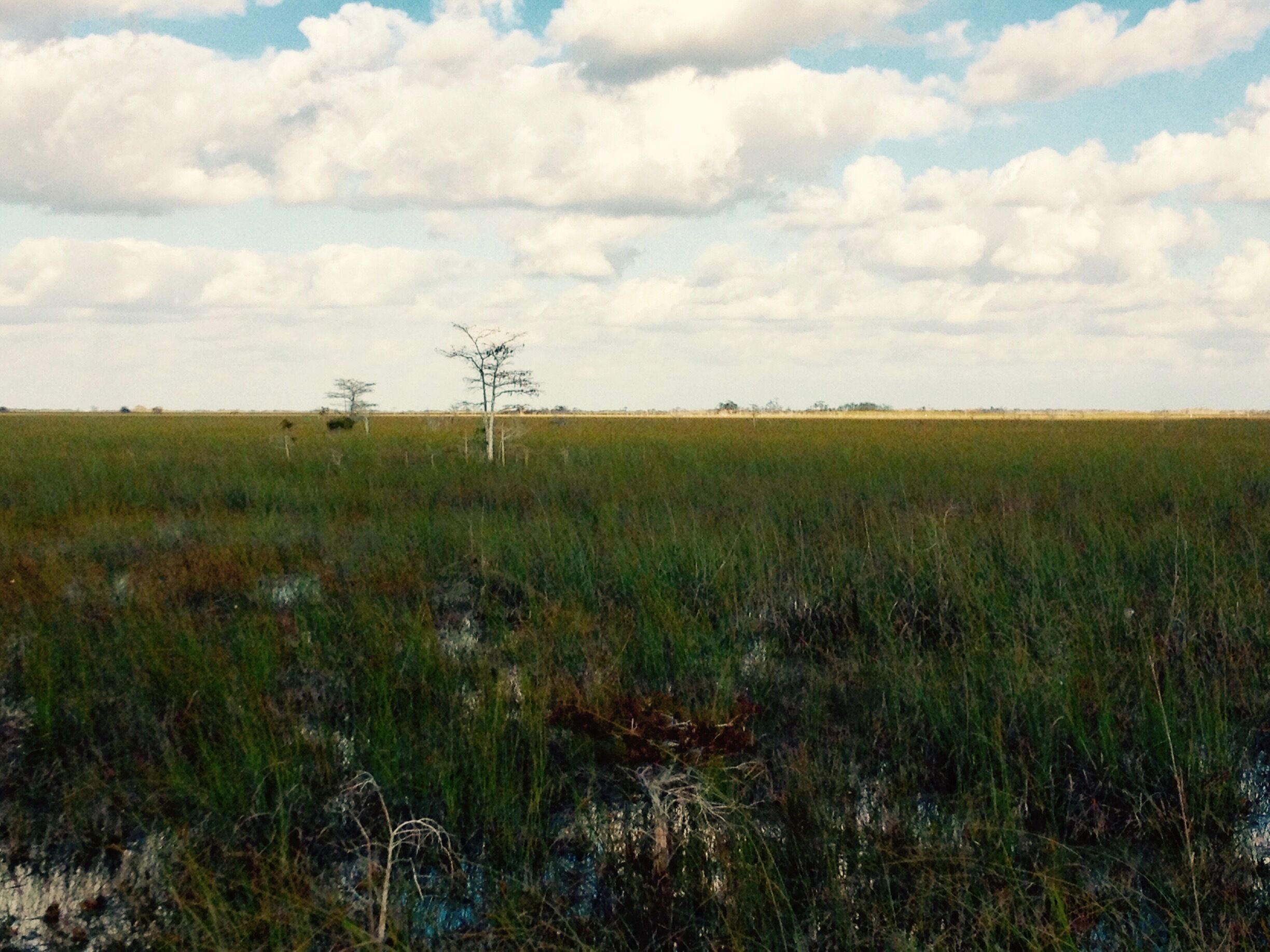 we didn't have anyone else around us, very peaceful place in Florida.
#TakeAHike