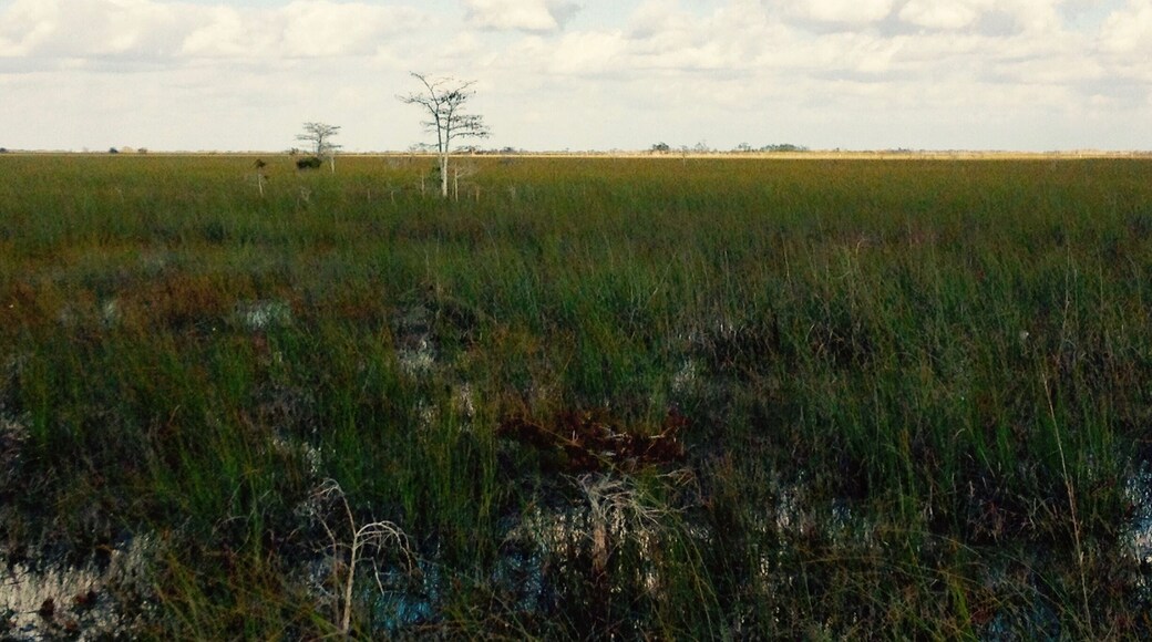 we didn't have anyone else around us, very peaceful place in Florida.
#TakeAHike