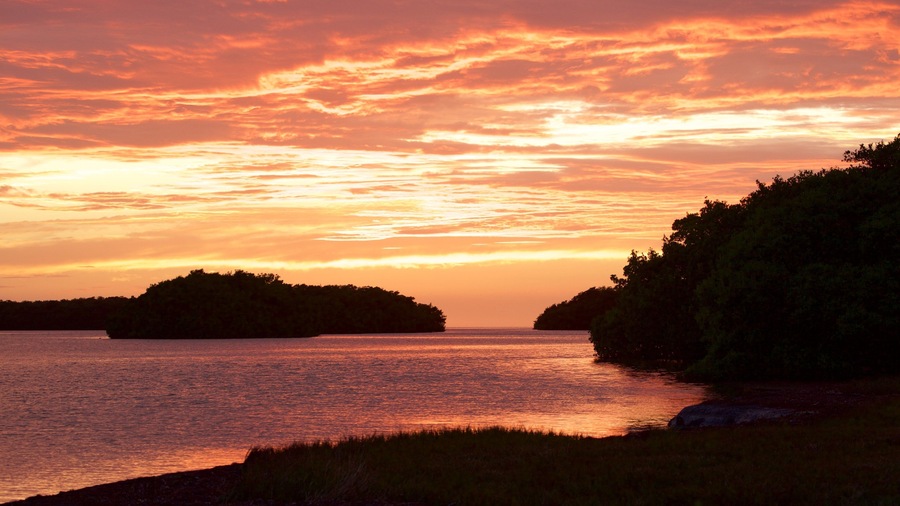 Parc national des Everglades montrant coucher de soleil et vues littorales