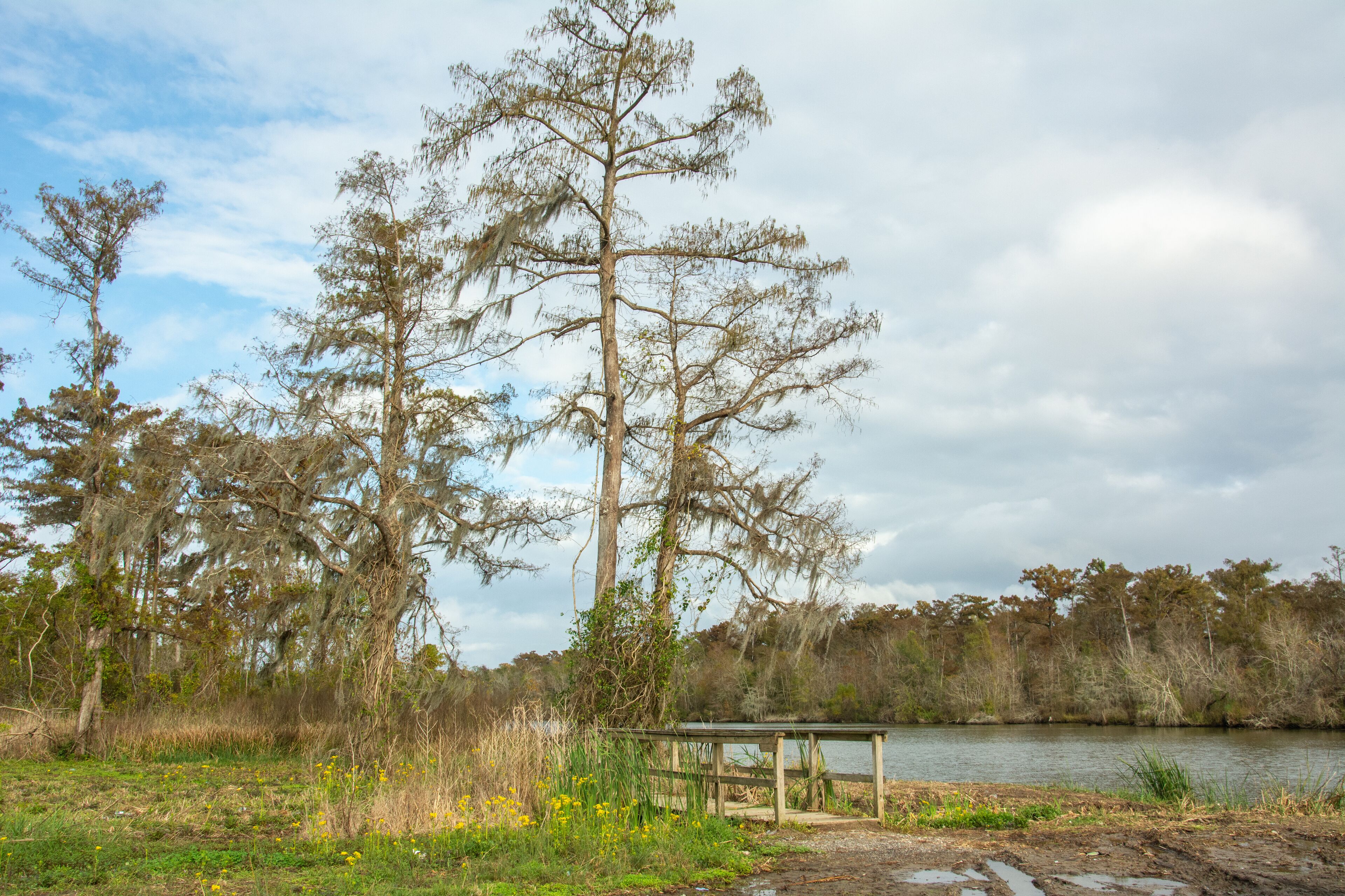 Louisiana landscape between Baton Rouge and New Orleans, USA