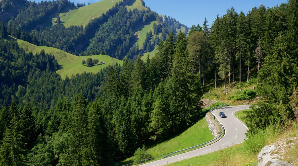 St. Gallen which includes tranquil scenes