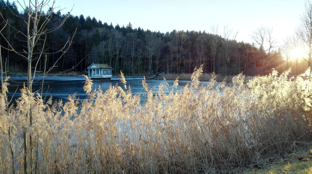 This mystical lake above the city is near Mühlegg.