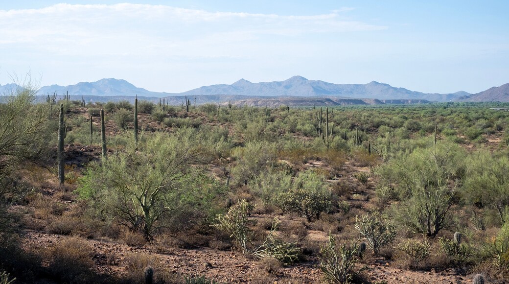 فورت ماكدويل