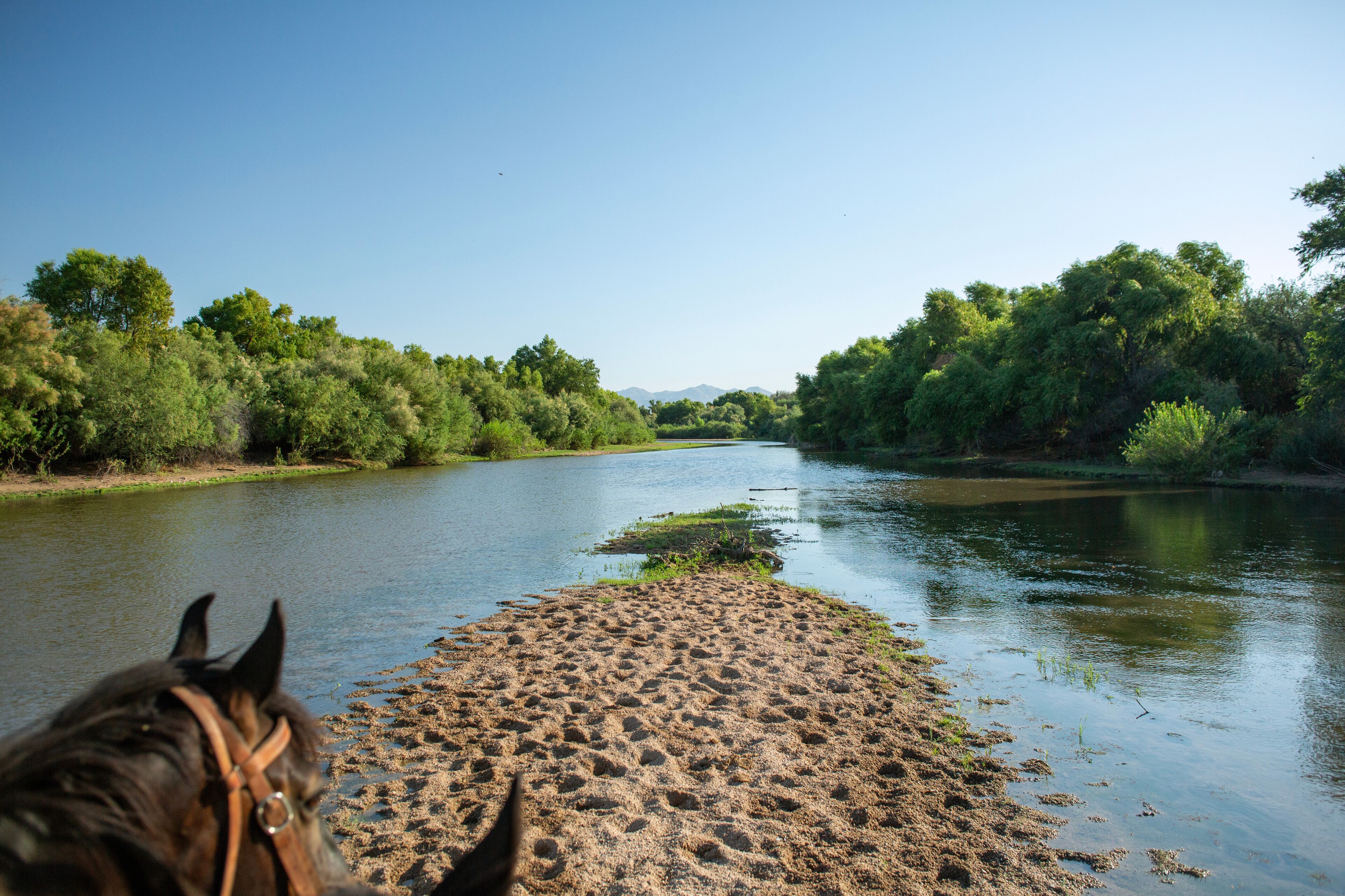 فورت ماكدويل