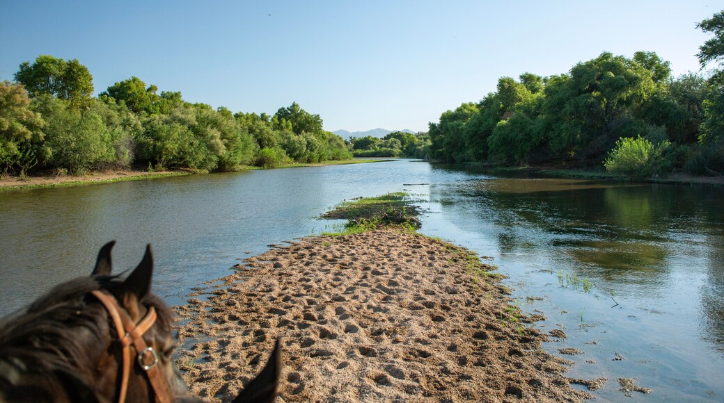 فورت ماكدويل