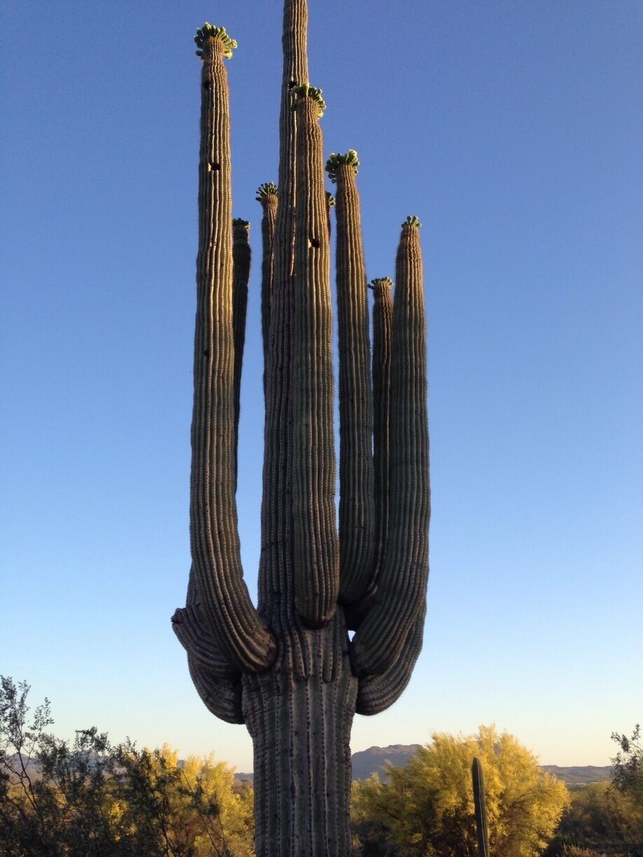 What a beautiful spot in the desert!