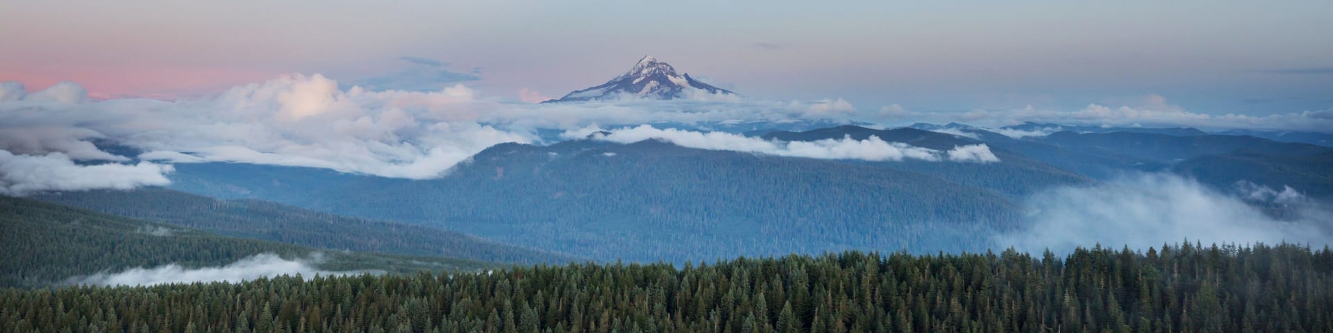 Mt Hood