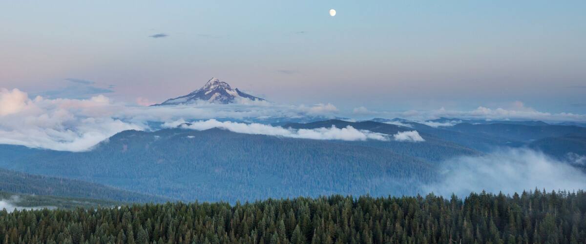A mountain peak with a forested foreground and a moon in the sky.