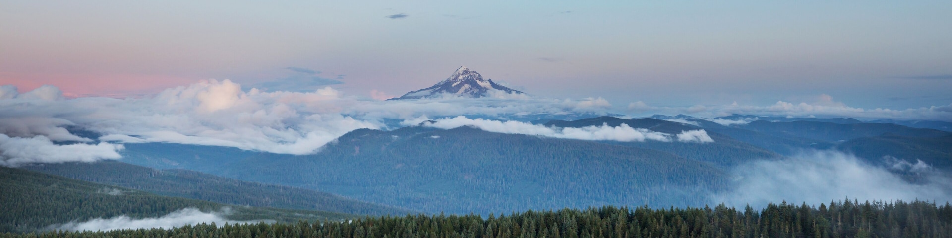 A mountain peak with a forested foreground and a moon in the sky.