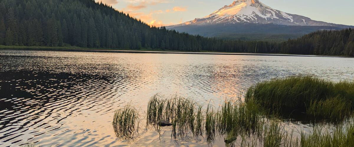 Summer sunset hike in Mt Hood national Forest- Trillium Lake
#getoutdoors #hiking #trovember #trovemberphotocontest #mybackyard #tothemountainsigo #explorelocal #travel #chasingsunsets #exploreoregon