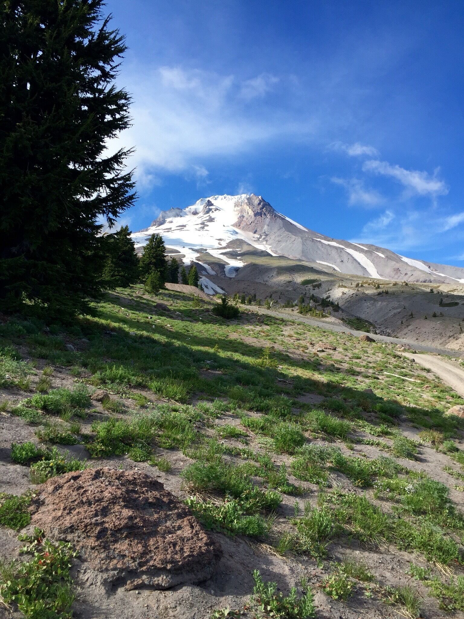 Mount Hood in the summer. 