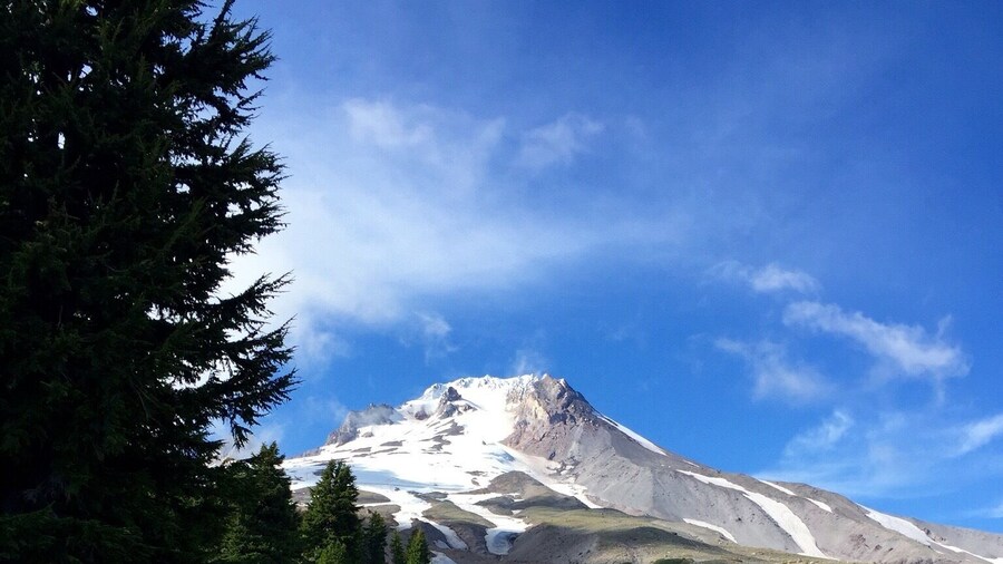 Mount Hood in the summer.