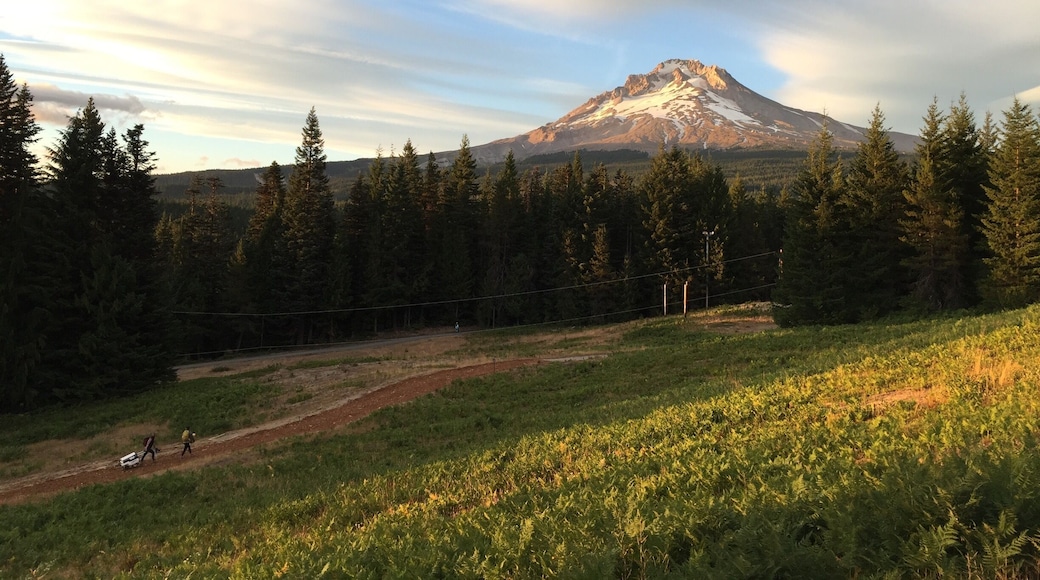 This photo of Mount Hood was taken in August 2017 at REI's Outessa retreat- a women's only outdoor adventure weekend. Pictures don't do it justice!