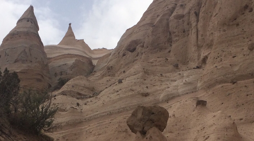 Definitely worth the drive to get out here!