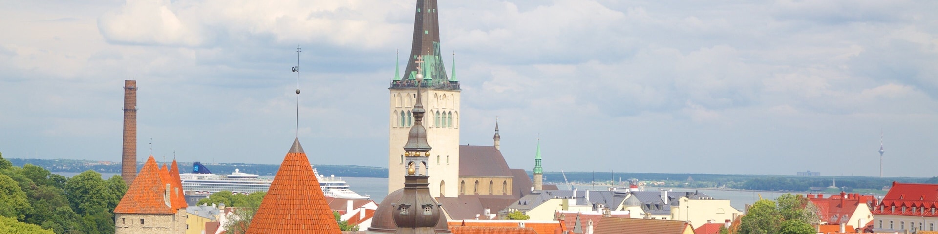 Estonia showing a city