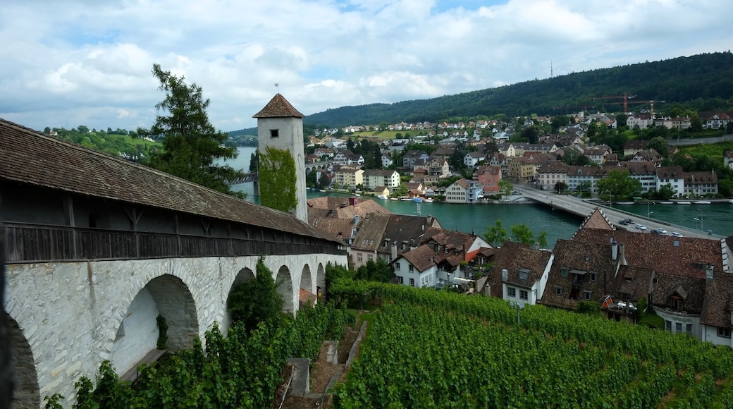 The Munot is a circular 16th century fortification in the center of the Swiss city of Schaffhausen. It is surrounded by vineyards and serves as the city's symbol. The ring-shaped fortress was built in the 16th century.