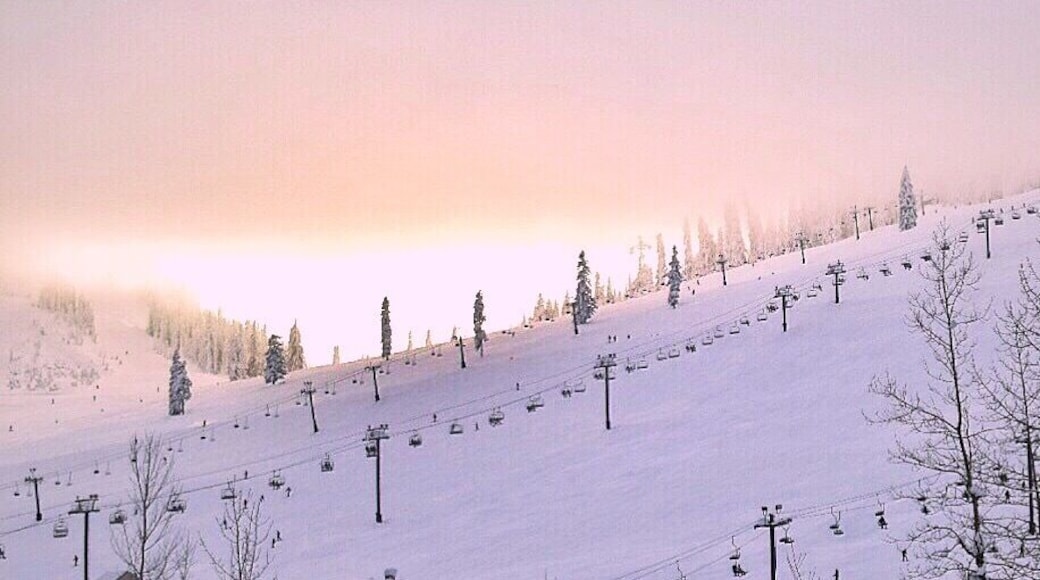 Sunset at The Summit
#roadtrip #weekendgetaway #winterdestination #winter #snow