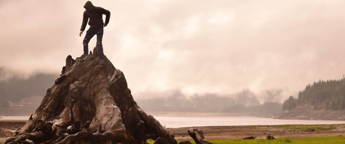 Just off I-90 at the summit of snoqualmie pass lays a grave yard of old trees #adventure
