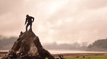 Just off I-90 at the summit of snoqualmie pass lays a grave yard of old trees #adventure