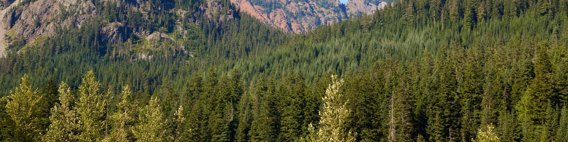Snoqualmie Pass featuring forests and mountains