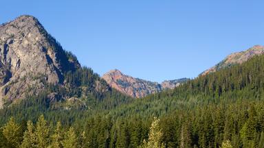 Snoqualmie Pass featuring forests and mountains