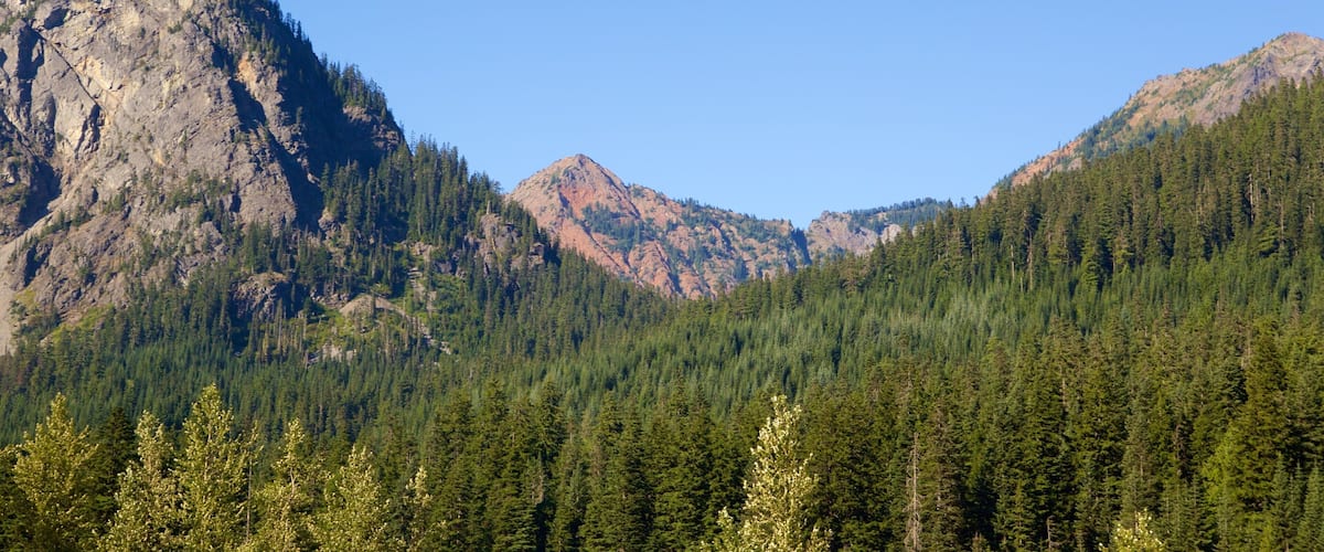 A mountainous landscape with dense forests and rocky peaks.