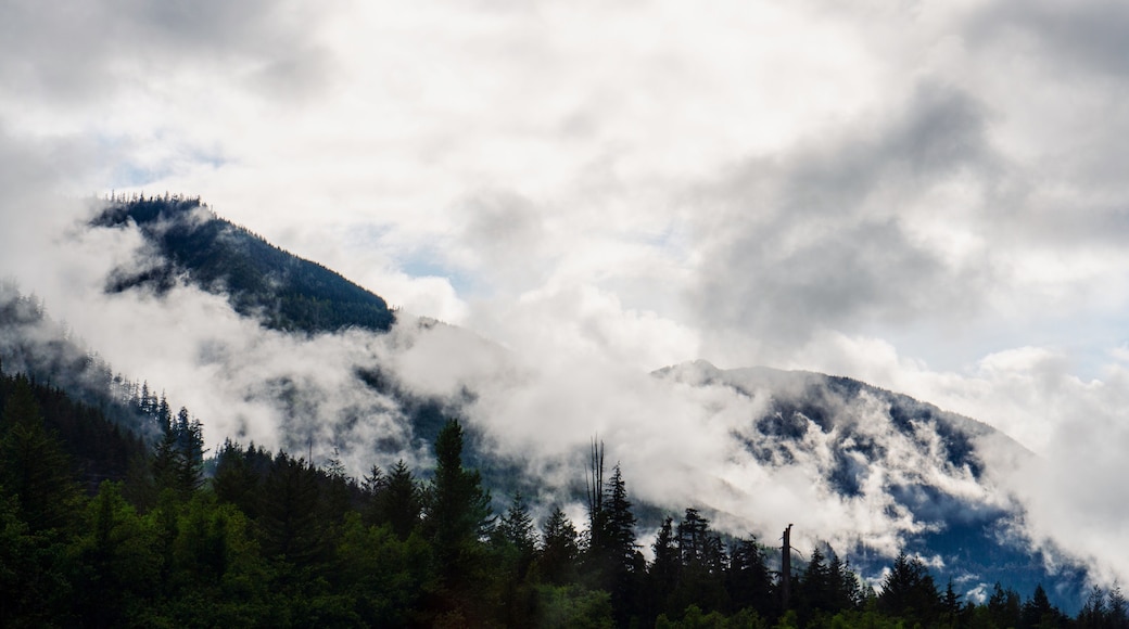 Playing hide and go seek with the Cascades. Caught these mountains peeking out from the clouds on a beautiful drive home from Snoqualmie. #Adventure #Adventure Photo Contest