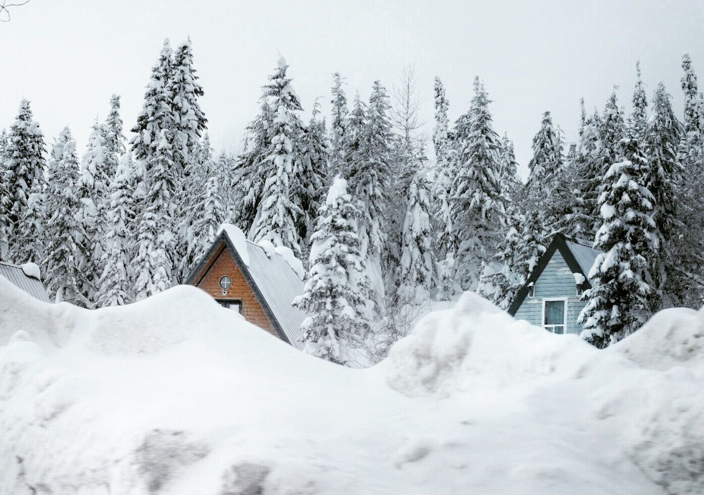 Snowed In  #winterdestination #hiking #weekendgetaway #snow #winter #skiing 