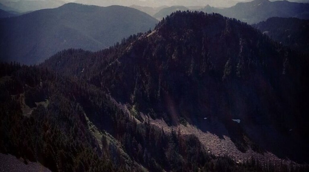 Having this view from the top of Silver Peak made the hike. Most couples go out to dinner to celebrate their anniversary. Us? We do a strenuous hike without the kids to celebrate.