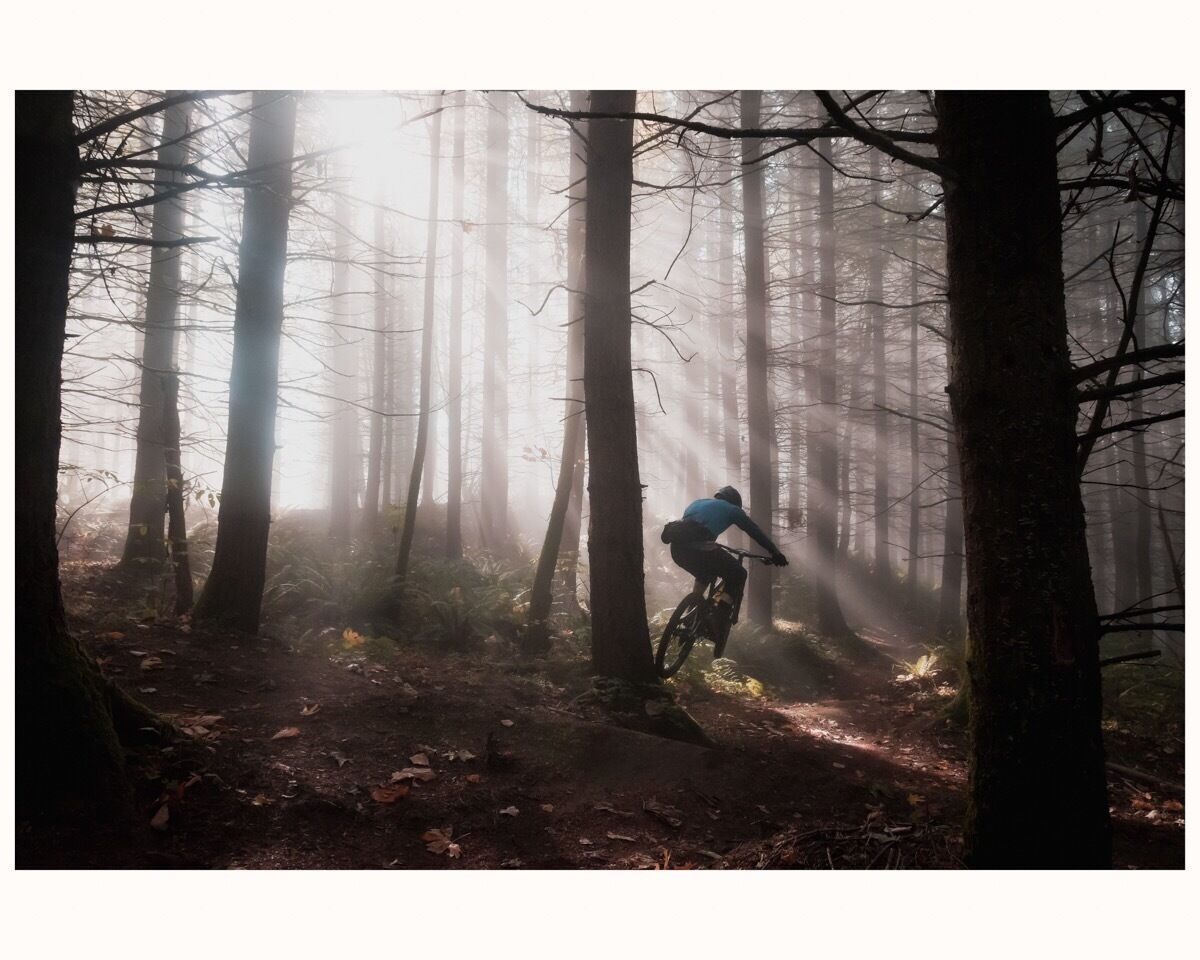 Great morning to ride the mountain bike and take some photos.

#greatoutdoors #pnw #pacificnorthwest #mtb #mountainbiking
