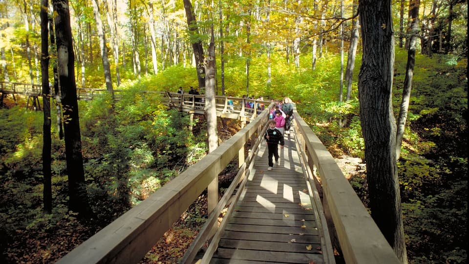 Kleinburg fasiliteter samt skoglandskap og bro i tillegg til barn