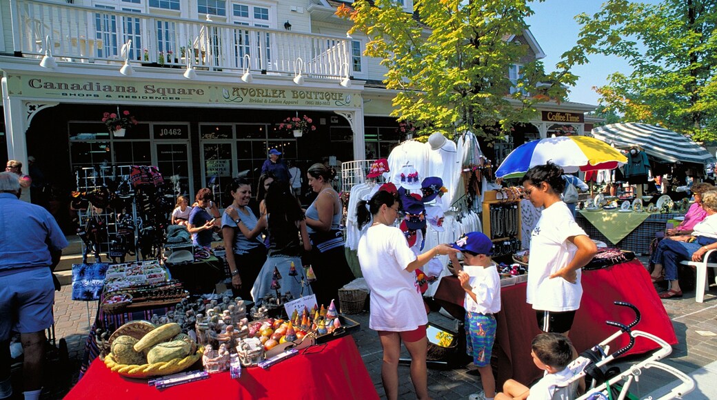 Kleinburg showing markets as well as a large group of people