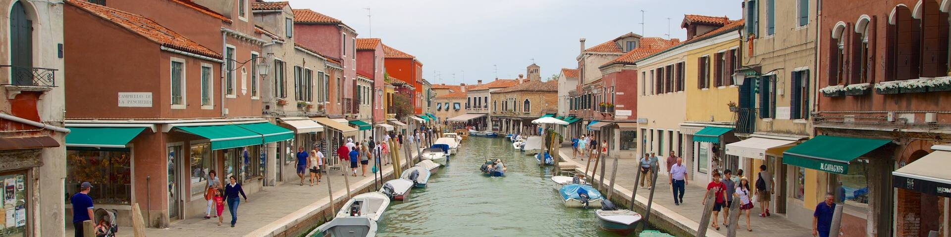Murano which includes a river or creek and a city