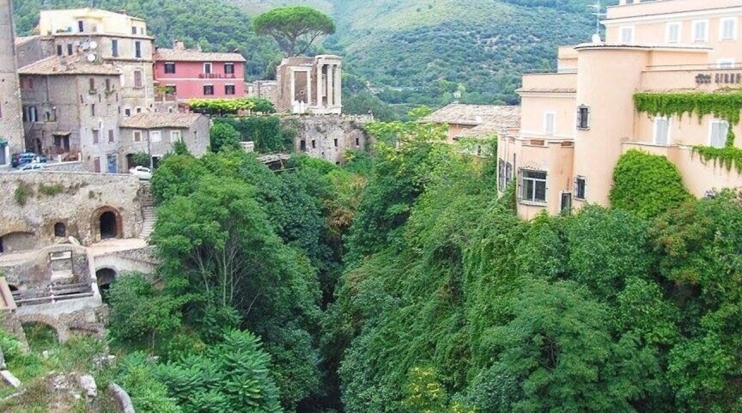 Villa Gregoriana in Tivoli is full of beautiful waterfalls and walking trails, along with ancient ruins. It's worth the hike down and then up the gorge to see the streams and waterworks. This picture was taken from above
#green
#takeahike