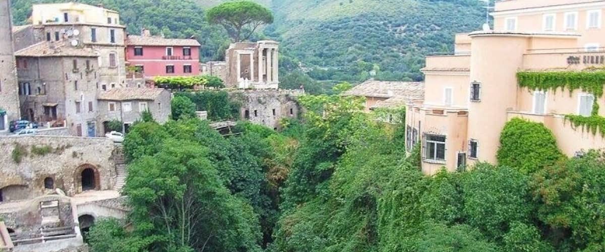 Villa Gregoriana in Tivoli is full of beautiful waterfalls and walking trails, along with ancient ruins. It's worth the hike down and then up the gorge to see the streams and waterworks. This picture was taken from above 
#green
#takeahike