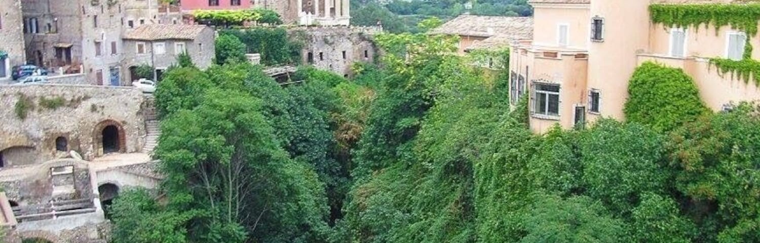 Villa Gregoriana in Tivoli is full of beautiful waterfalls and walking trails, along with ancient ruins. It's worth the hike down and then up the gorge to see the streams and waterworks. This picture was taken from above
#green
#takeahike