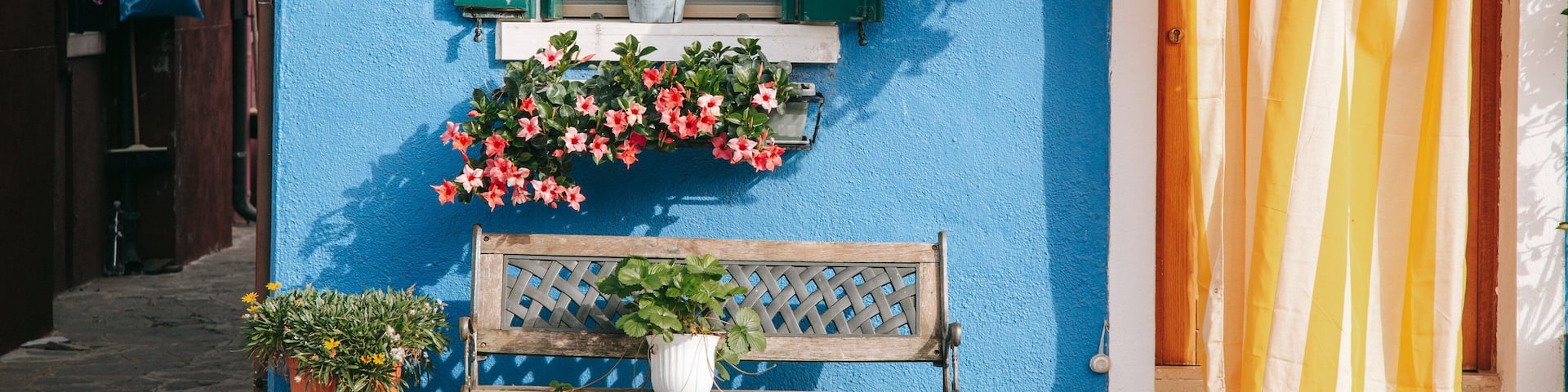 Burano which includes flowers