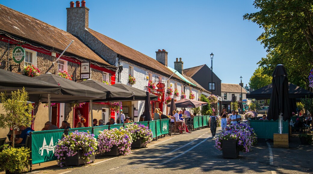 Malahide featuring street scenes, wildflowers and a small town or village
