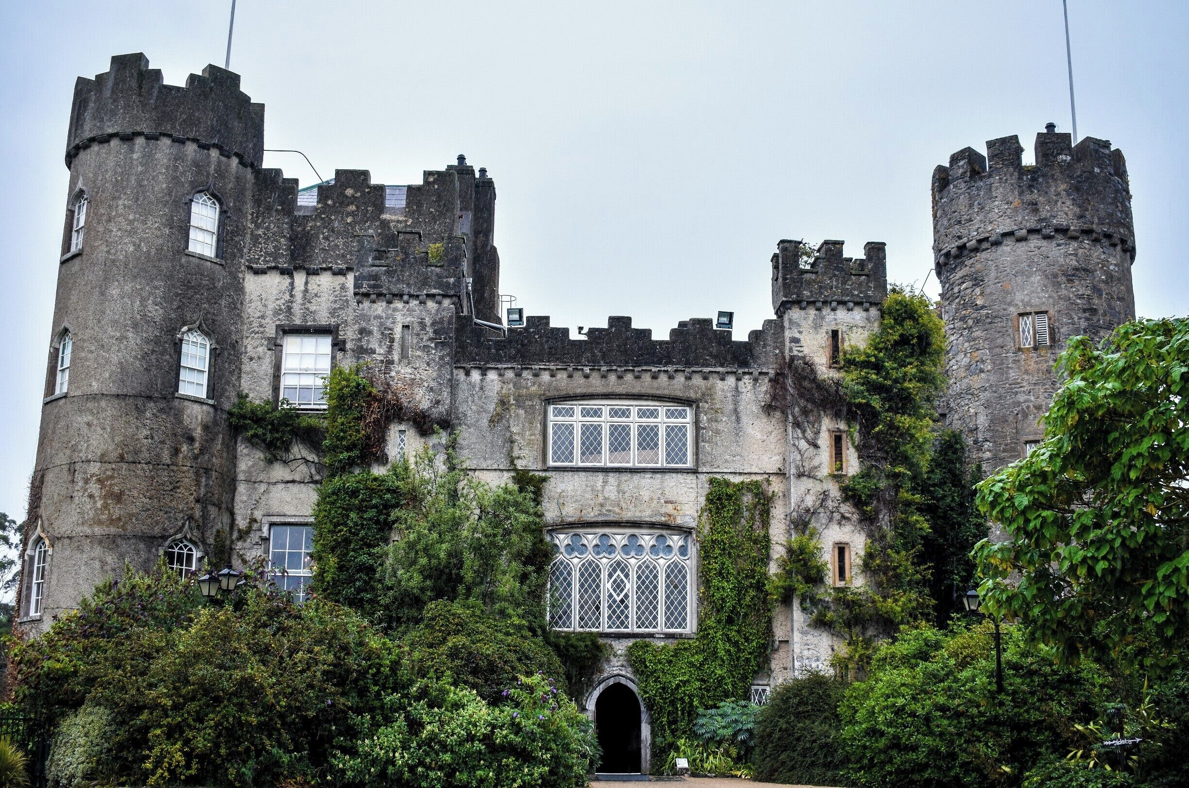 A historic castle with two towers, arched windows, and ivy-covered walls.