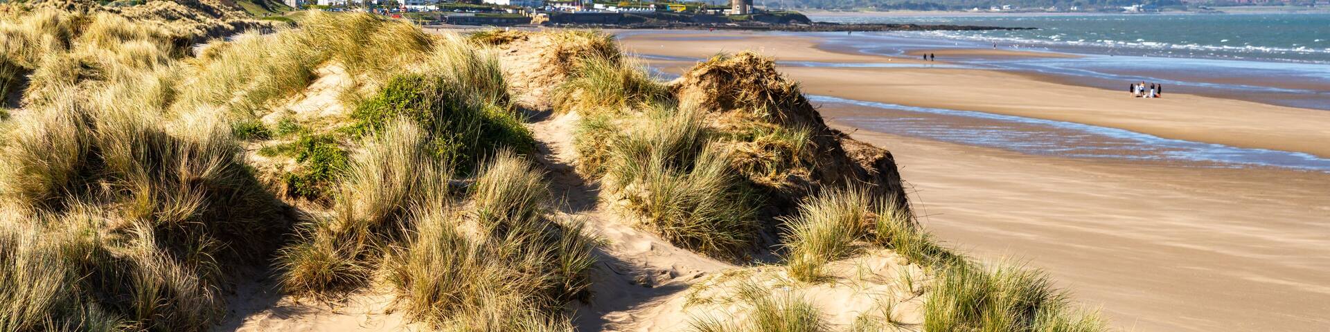 A sandy beach with dunes and grass, a distant town, and a lighthouse.