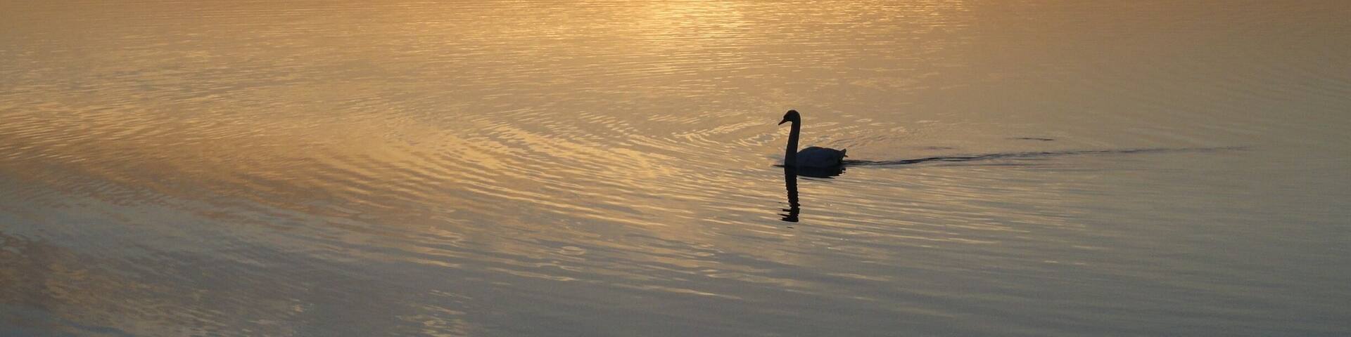 Photo taken of early morning sunrise along Malahide Estuary