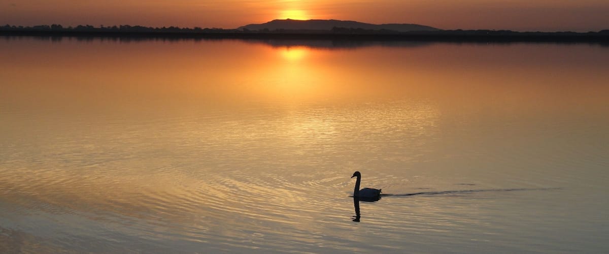 Photo taken of early morning sunrise along Malahide Estuary