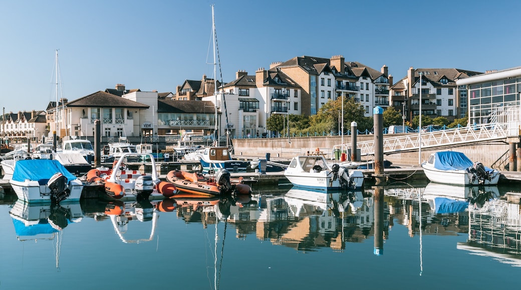 Malahide featuring a bay or harbor