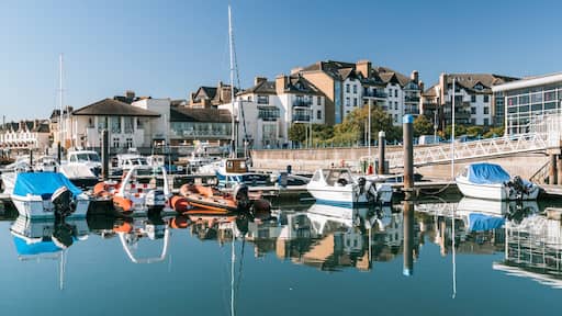 Malahide featuring a bay or harbor