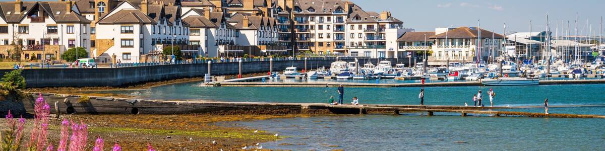 Malahide featuring wildflowers, a coastal town and a bay or harbor