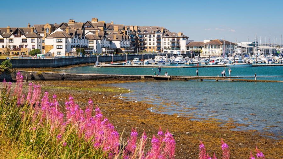 Malahide featuring wildflowers, a coastal town and a bay or harbor