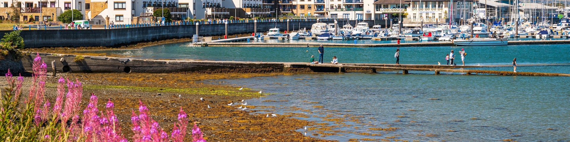 Malahide featuring wildflowers, a coastal town and a bay or harbor