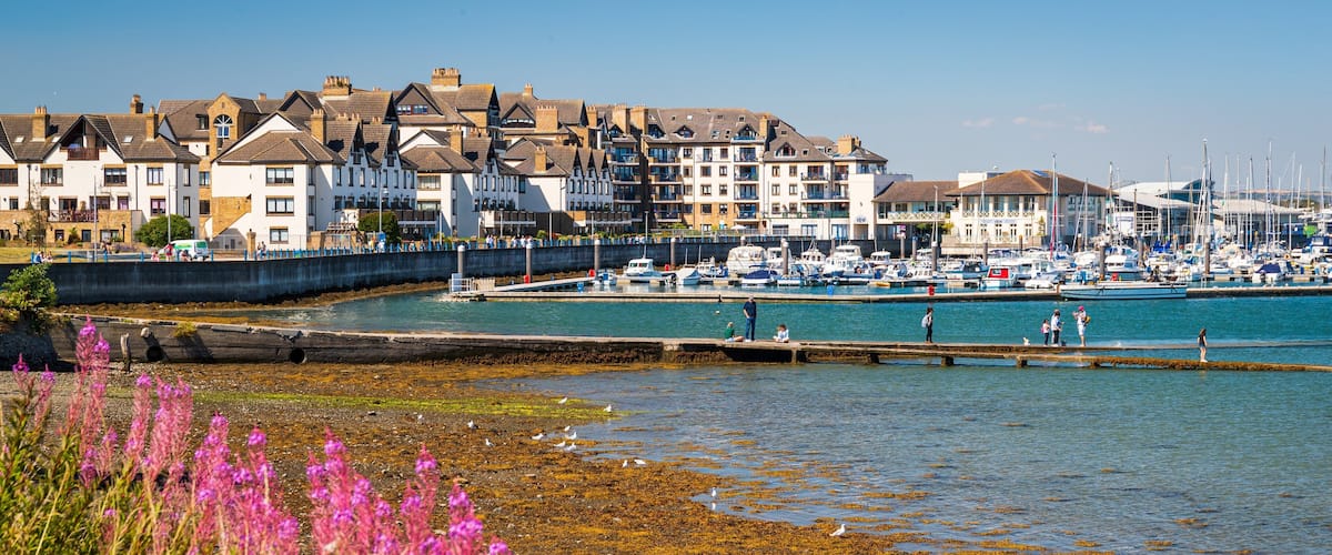 Malahide featuring wildflowers, a coastal town and a bay or harbor