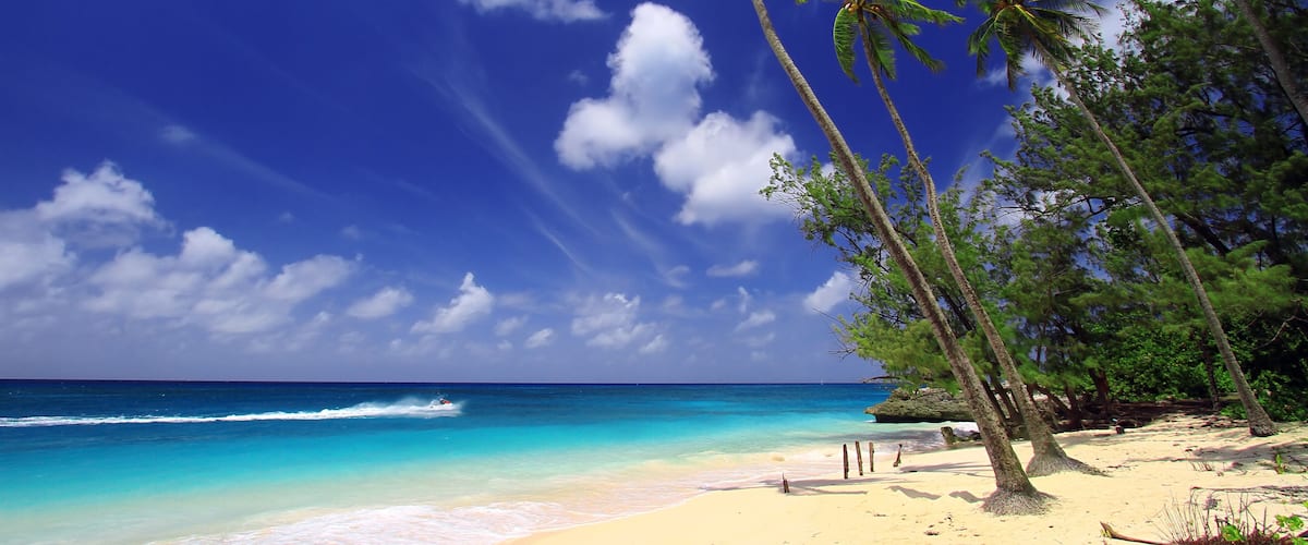 Una playa con aguas turquesas cristalinas, palmeras y un cielo azul despejado.